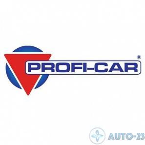 Антигель для дизельного топлива PROFI-CAR 60122P